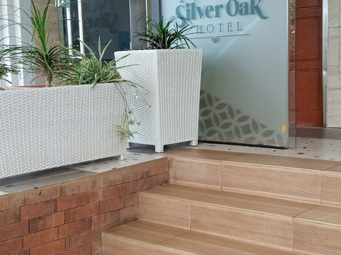 诺克拉斯银橡树 恩布主图