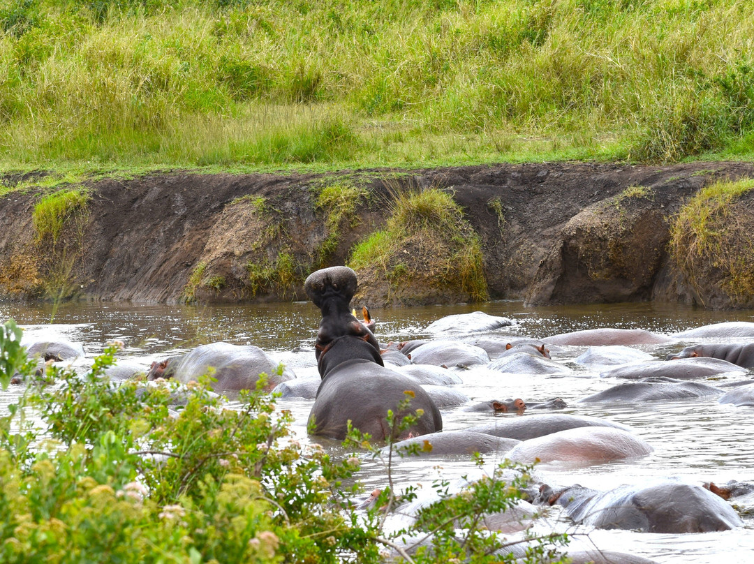 Calabash Adventures-阿鲁沙必去景点