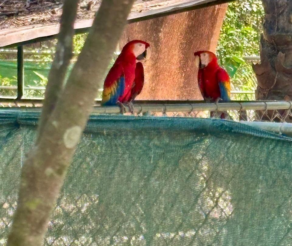 Natuwa Wildlife Santuary-彭塔雷纳斯必去景点