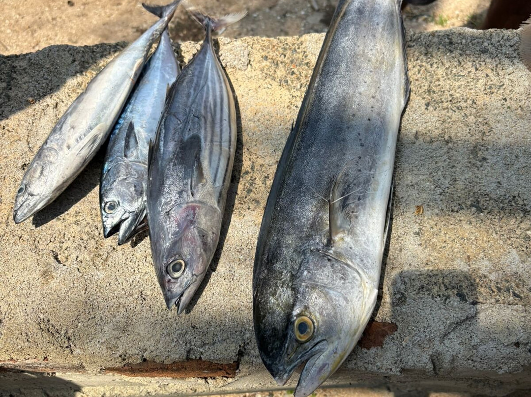 Italia Beach Hotel主图