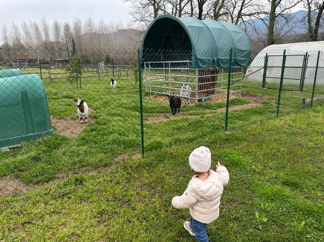Family Farm Societá Agricola A r.l.