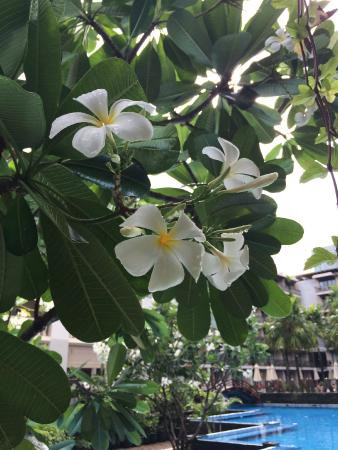 普吉岛班拉迈海滩度假酒店主图