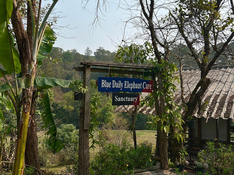Blue Daily Elephant Care Sanctuary-清迈必去景点