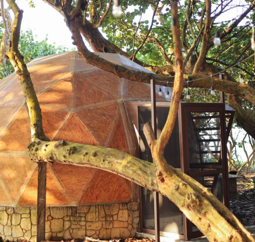 Hotel Playa Tortugas
