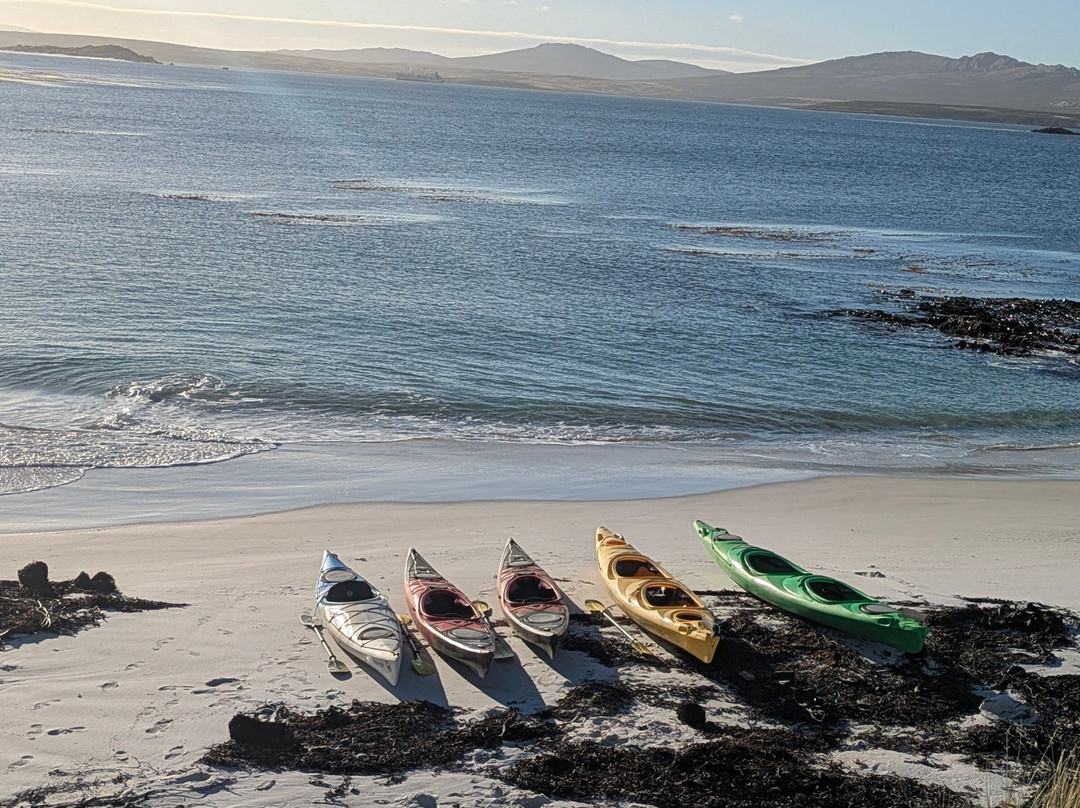 Falklands Outdoors-Stanley必去景点