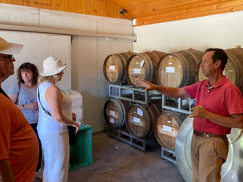 Bodega Wine Tours-圣地亚哥必去景点