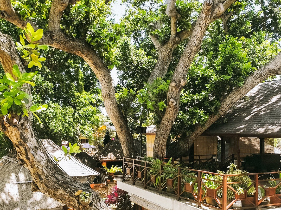 丹戎乌萨里酒店主图