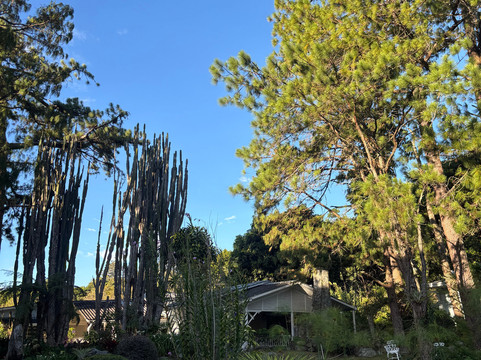 帕拉玛特酒店主图