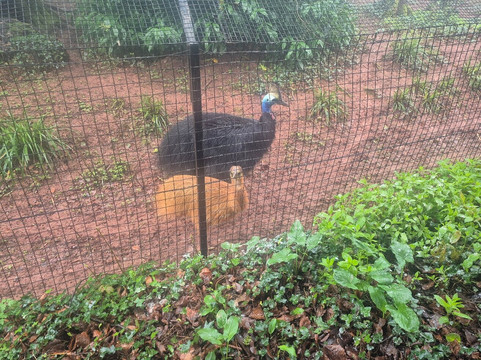 Paignton Zoo Environmental Park-佩恩顿必去景点