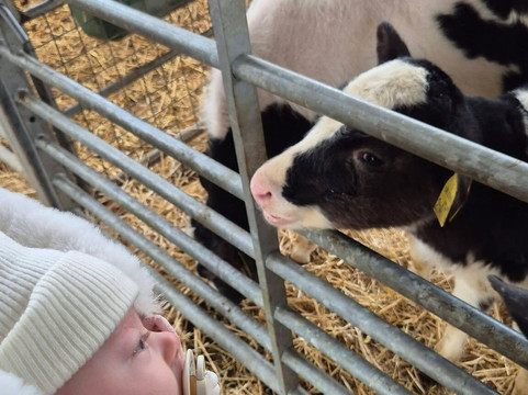 Old Down Country Park & Weddings-Old Down必去景点