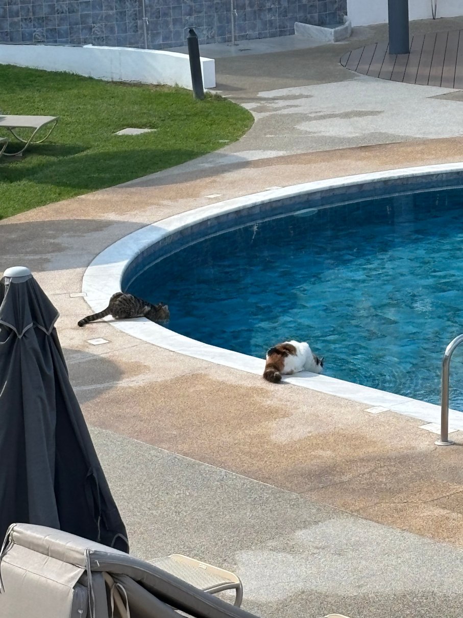 圣乔治海滩酒店和温泉度假村-泳池