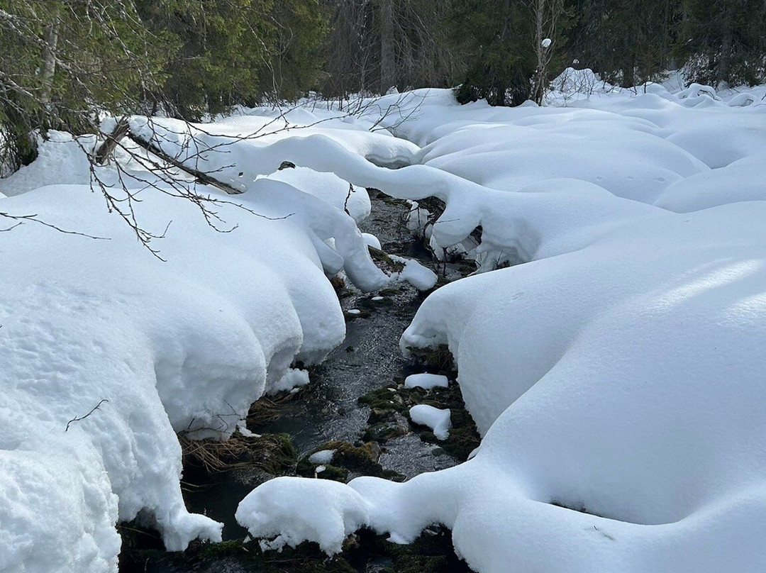 Lapland Safaris Yllas-Akaslompolo必去景点