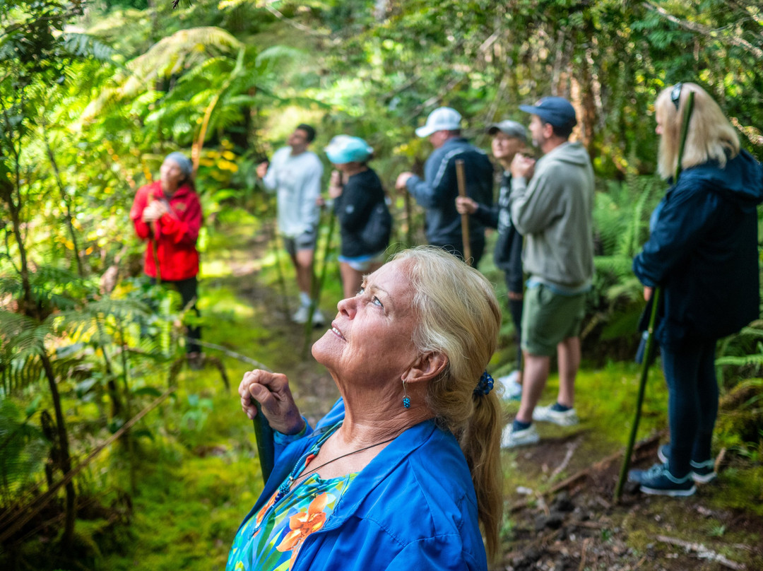 Kona Cloud Forest Sanctuary-凯鲁瓦-柯纳必去景点
