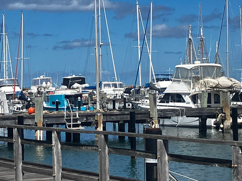 毕费里曼特尔公寓主图