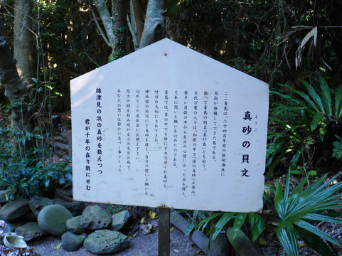 Aoshima Shrine-宫崎市必去景点