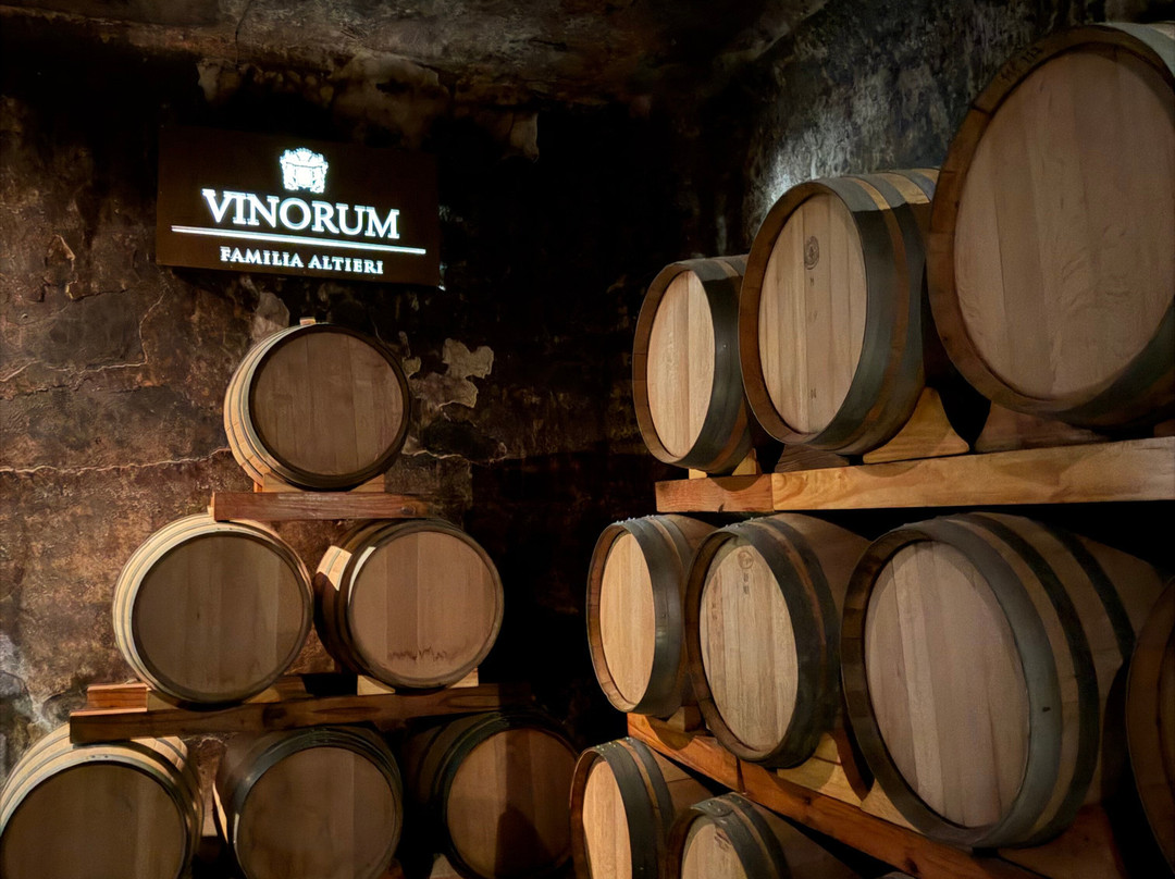 Altieri Wines - Vinorum-路冉得库约必去景点