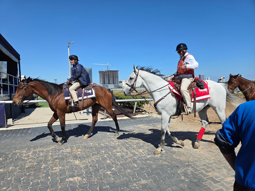 Gulfstream Park Racing and Casino-哈伦代尔海滩必去景点