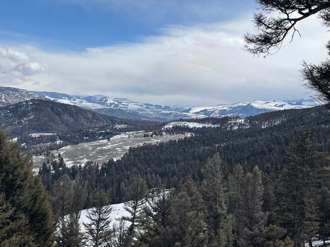 Yellowstone Wild-加德纳必去景点