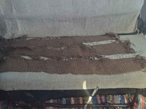 Marsa Alam Tours Diving-Port Ghalib必去景点