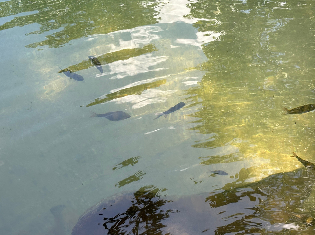 Sa Kaeo, Krabi-Khao Thong必去景点