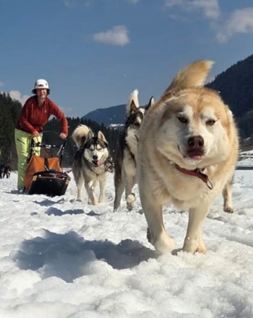 Fischer Adventures Day Tours-圣加仑必去景点