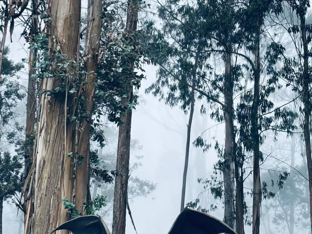 Tripcat-班加罗尔必去景点