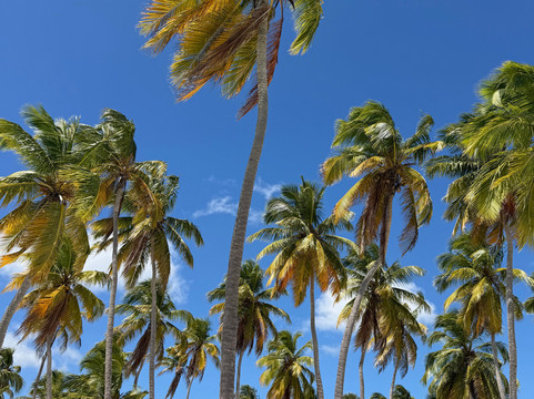 Franconero Escursioni-Bayahibe必去景点