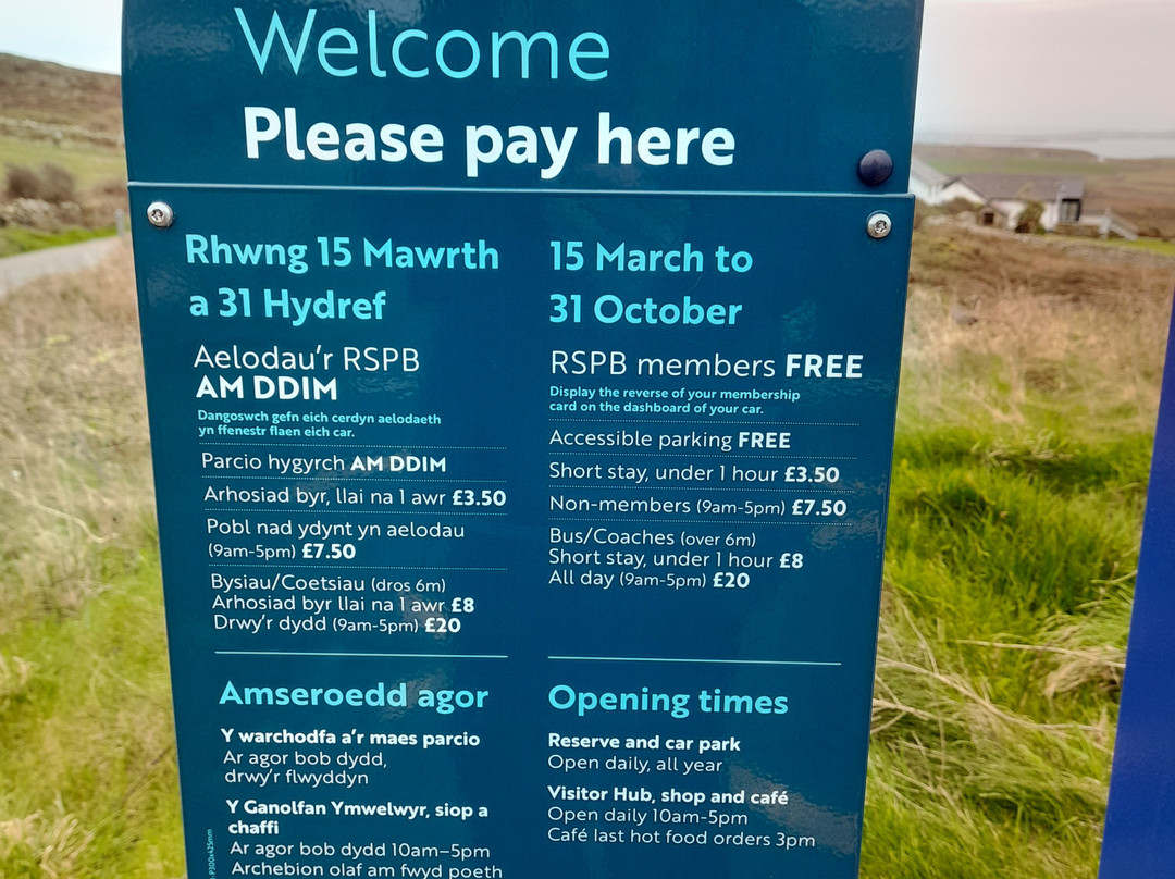 South Stack Cliffs RSPB Reserve-Holyhead必去景点