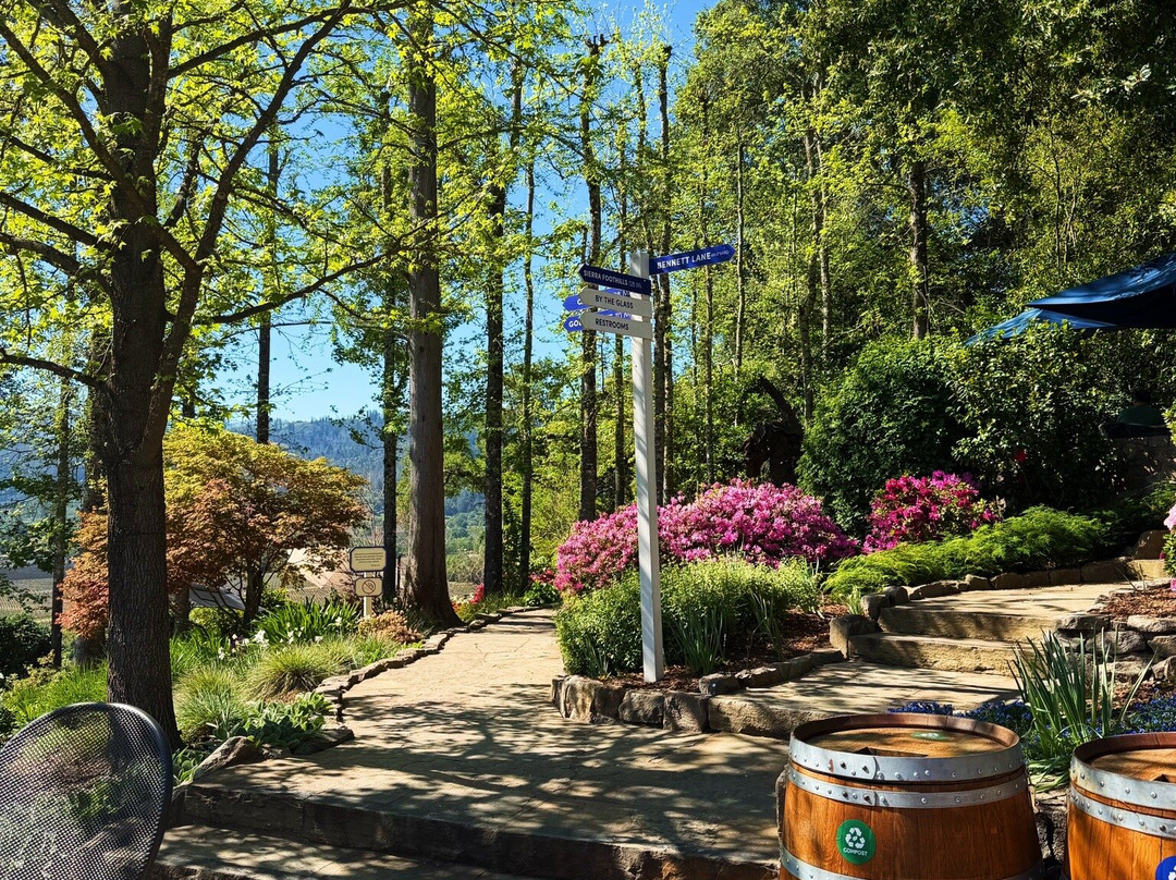 Rombauer Vineyards-圣海伦娜必去景点