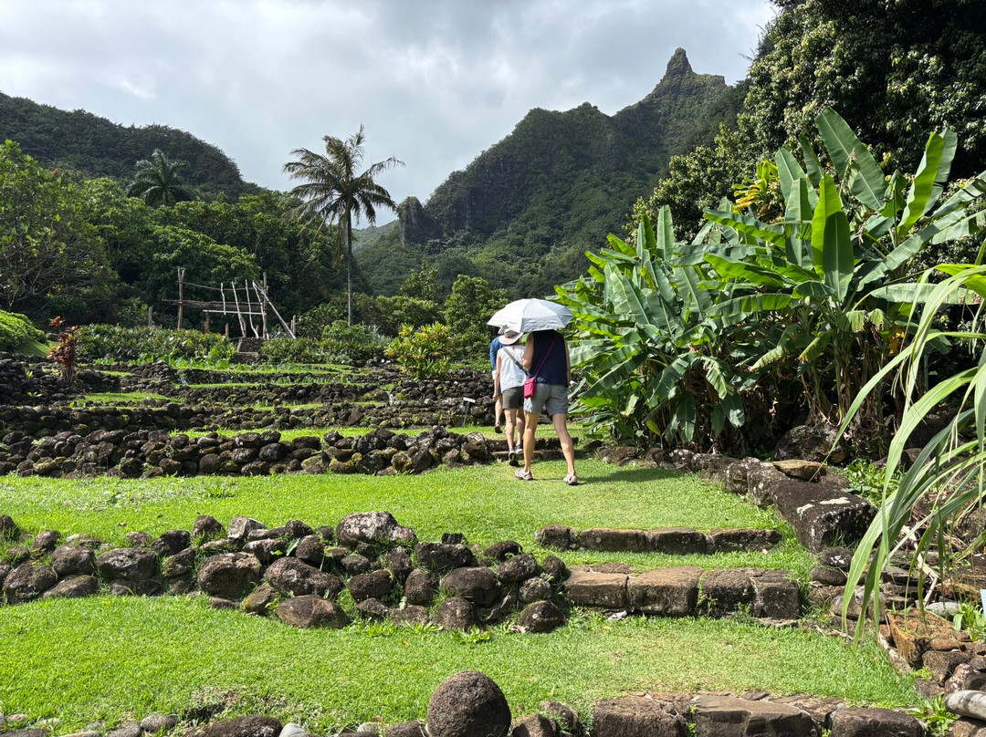 Limahuli Garden and Preserve-哈纳雷伊必去景点
