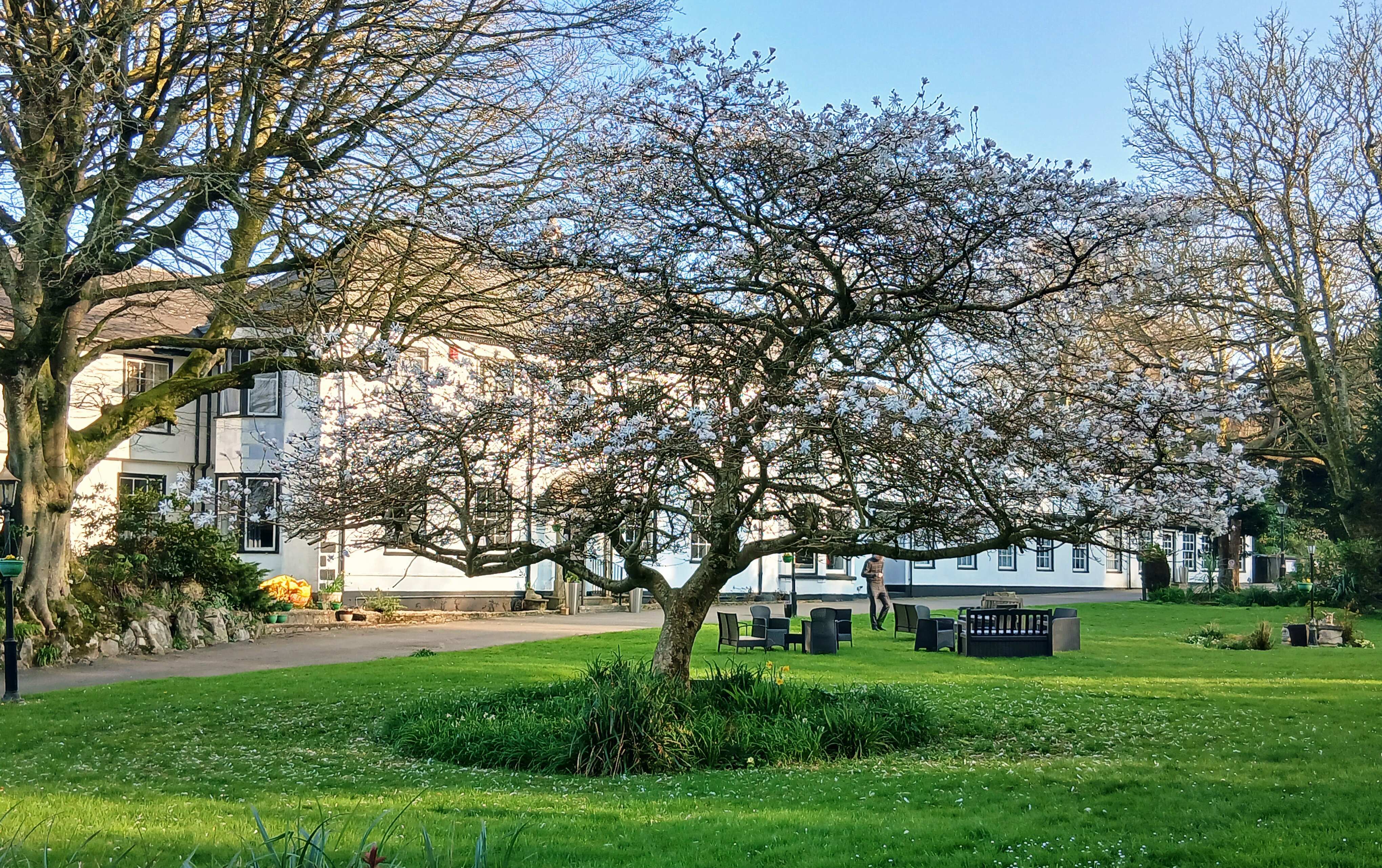 The Rosemundy House Hotel-度假村/酒店