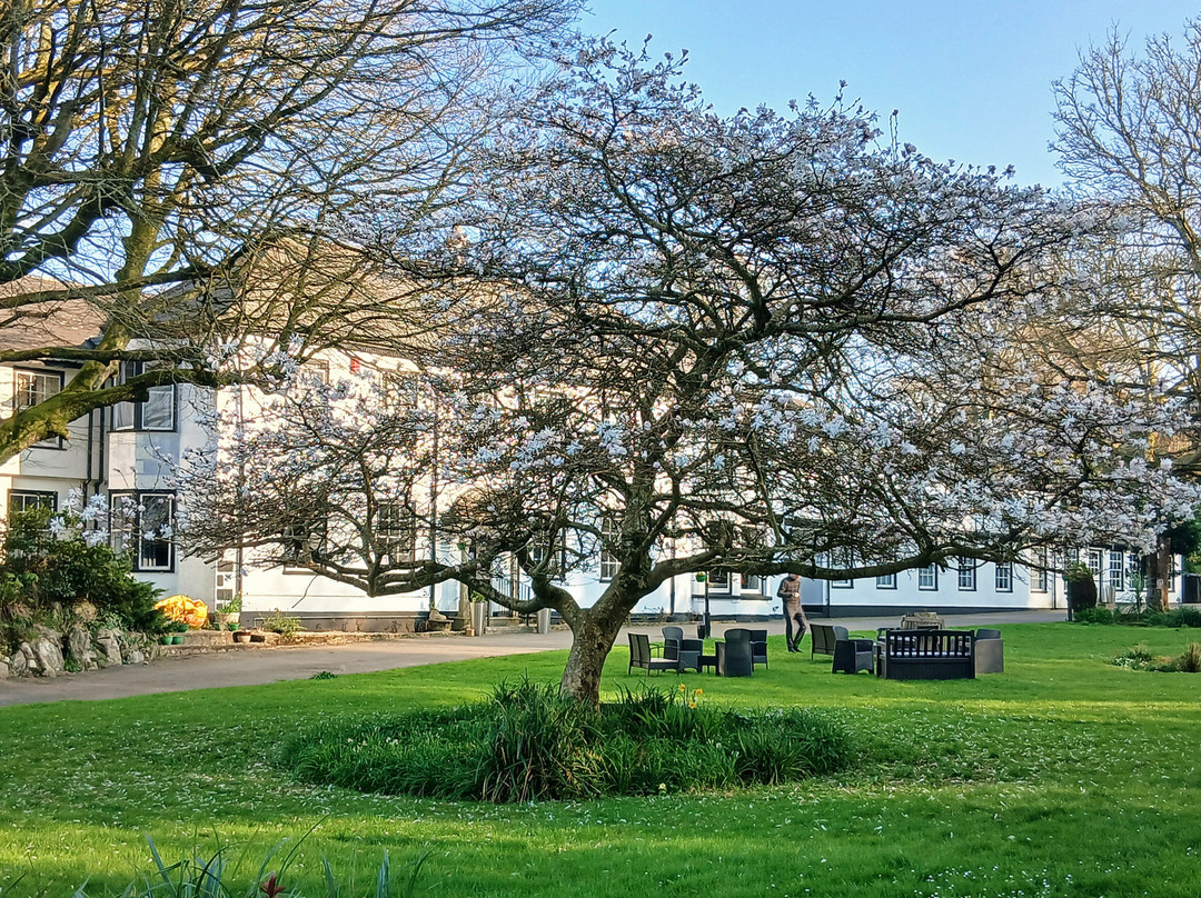 The Rosemundy House Hotel主图