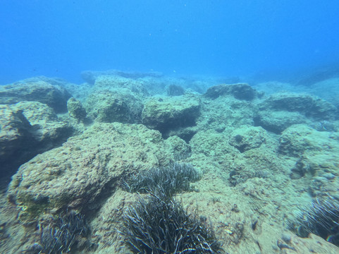 Coral Diving Crete-Anissaras必去景点