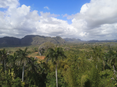 Cuban Classic Car Tours by Eddy
