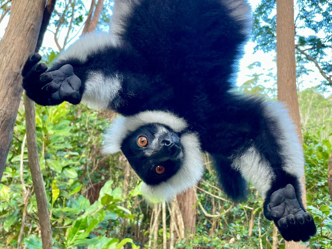 Wild-madagascar-tours-安塔那那利佛必去景点