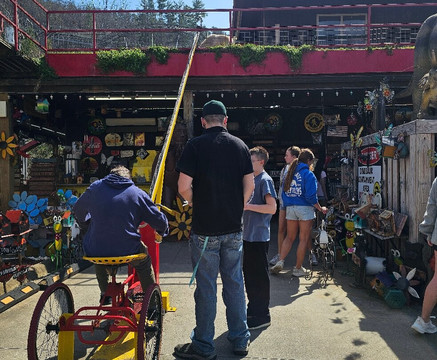 Goats on the Roof-皮金福奇必去景点