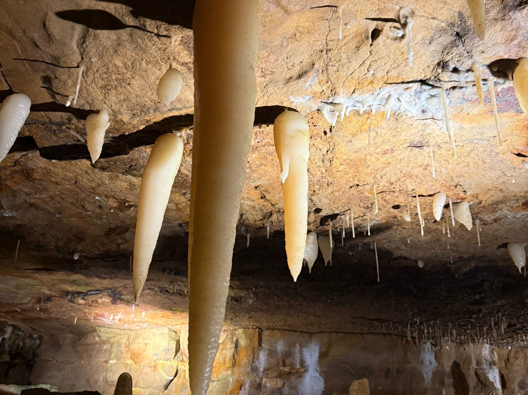 Ohio Caverns-West Liberty必去景点