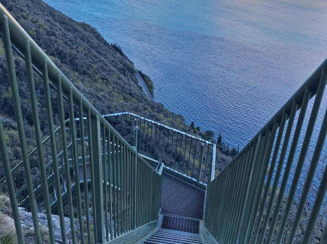 Sentiero panoramico Busatte Tempesta-托尔博莱必去景点