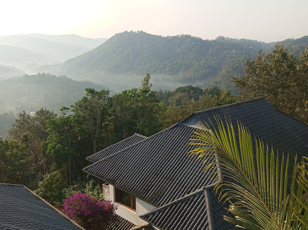 Kerala Holidays-柯钦必去景点