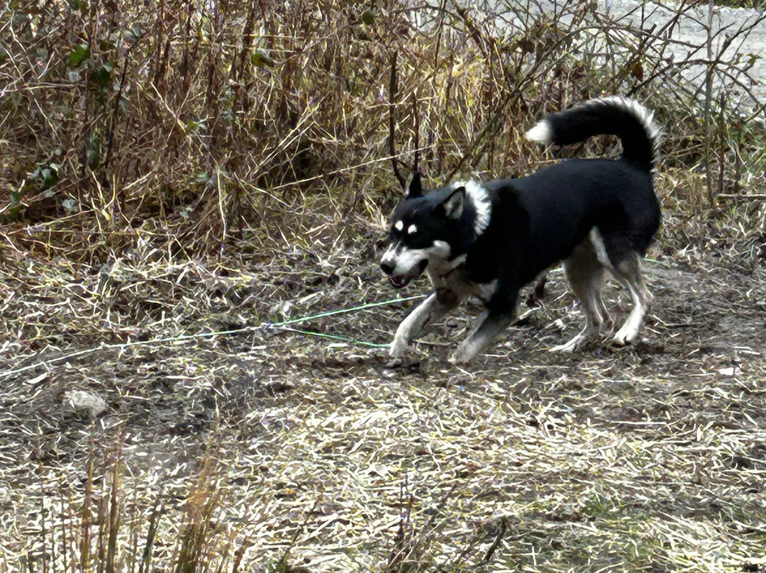 Mynydd Sleddog Adventures-Cerrigydrudion必去景点