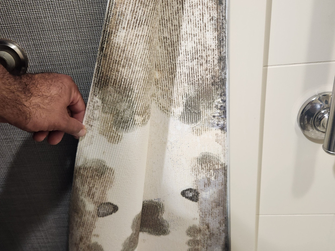 凯悦嘉轩酒店-普鲁士王费城主图