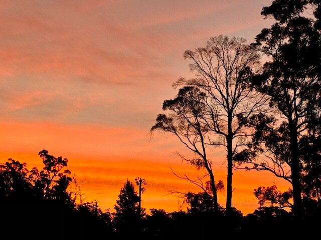 Domescapes in the Vines主图