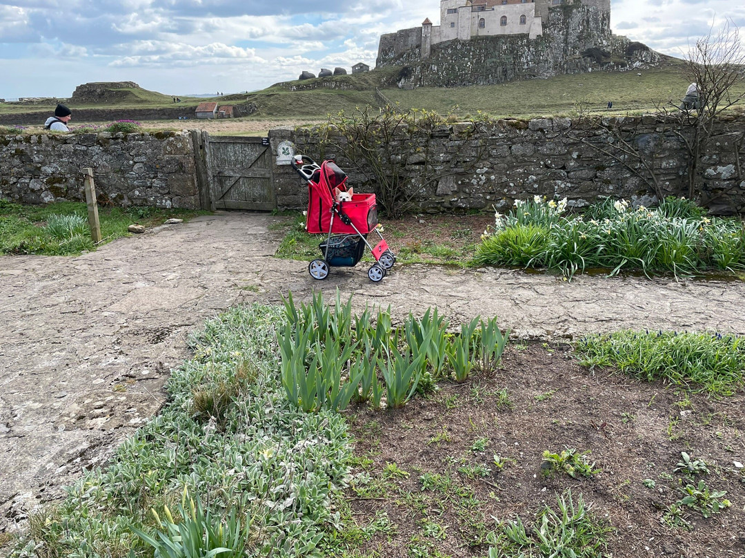 The Gertrude Jekyll Garden-Holy Island必去景点