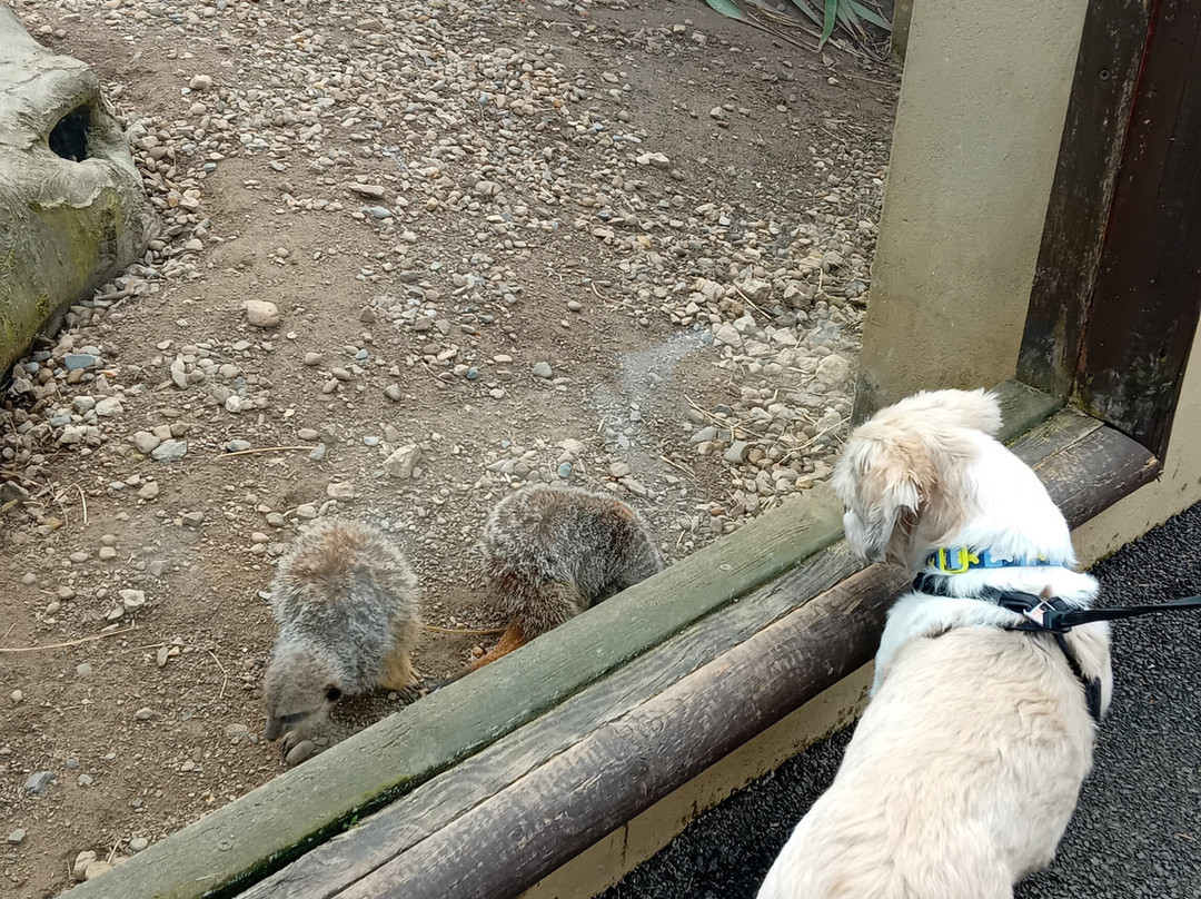 Filey Zoo-Filey必去景点