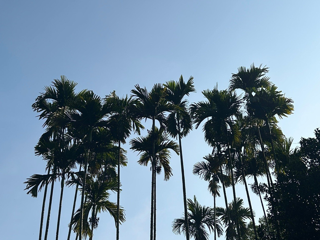 Risi Travels-加勒必去景点