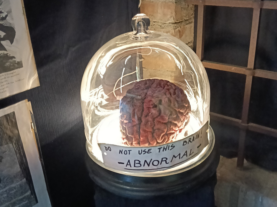 Museo dei miti e dei mostri