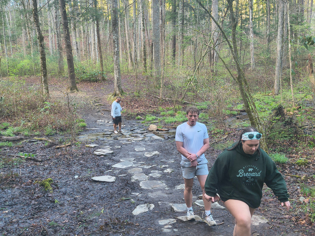 The Sinks-大雾山国家公园必去景点
