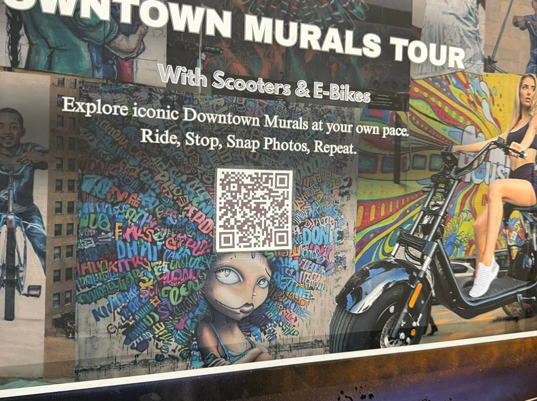 ERYD scooter Rentals-休斯顿必去景点