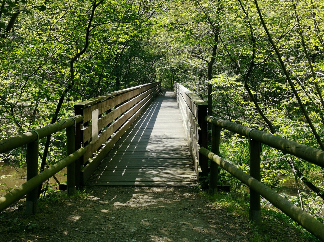 Centro Parco Fagiana-马真塔必去景点