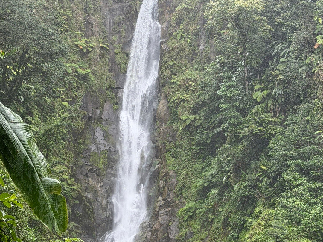 Sheppee Fun Tours Dominica-罗索必去景点